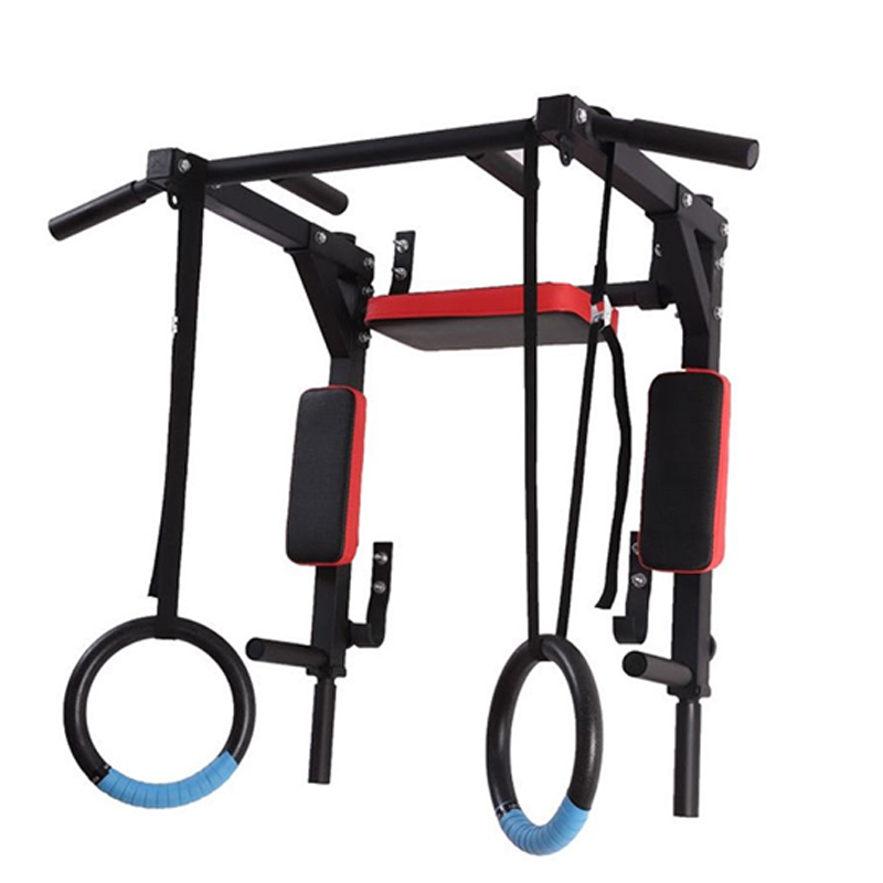 Home Gym Wall Mounted - Heavy Duty Wall Mounted Parallel And