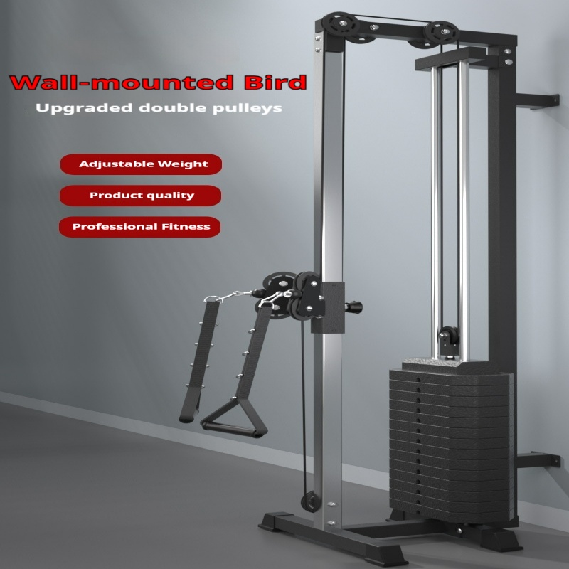Vertical Leg Press - The wall flying bird with counterweight