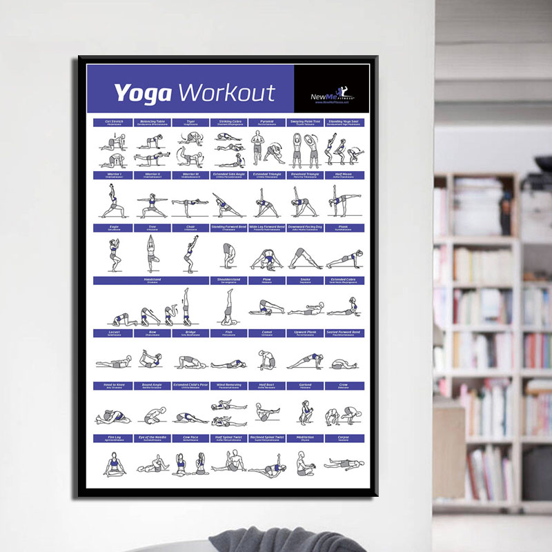 Body workout training chart, e - Home Gym York 评论和价格