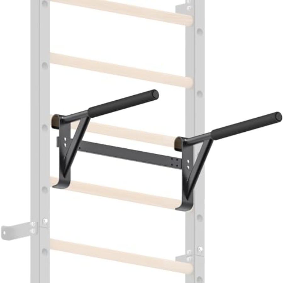 Wall Mounted Gymnastic Stall B - Home Gym Wall Mounted 评论和价格