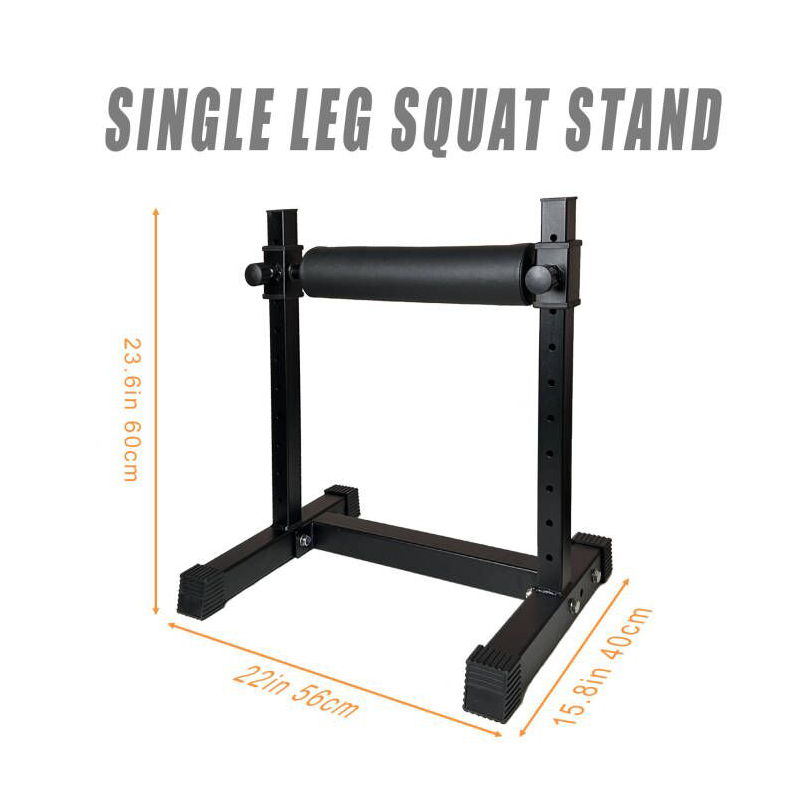 Adjustable Single Leg Squat St - Home Gym Workout Equipment 评论和价格