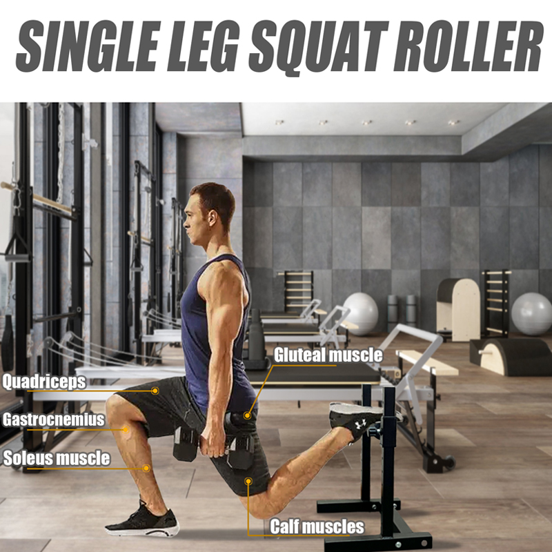 Adjustable Single Leg Squat St - Home Gym Workout Equipment 评论和价格