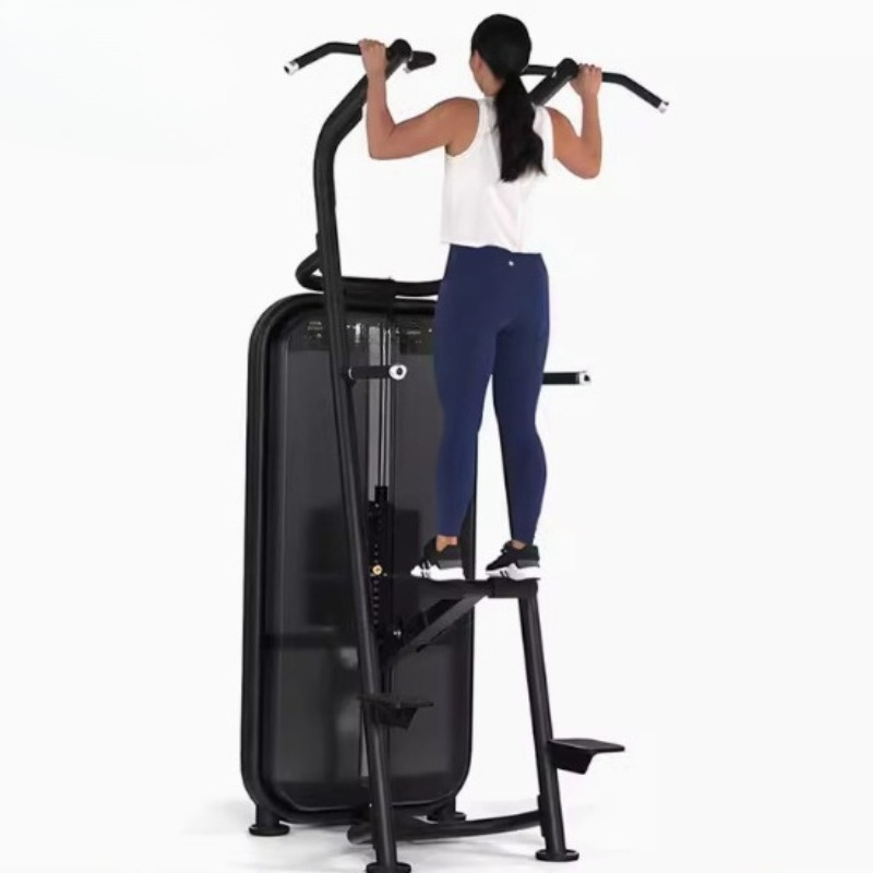Assisted pull-up parallel bar  - Home Gym Equipment Diy 评论和价格