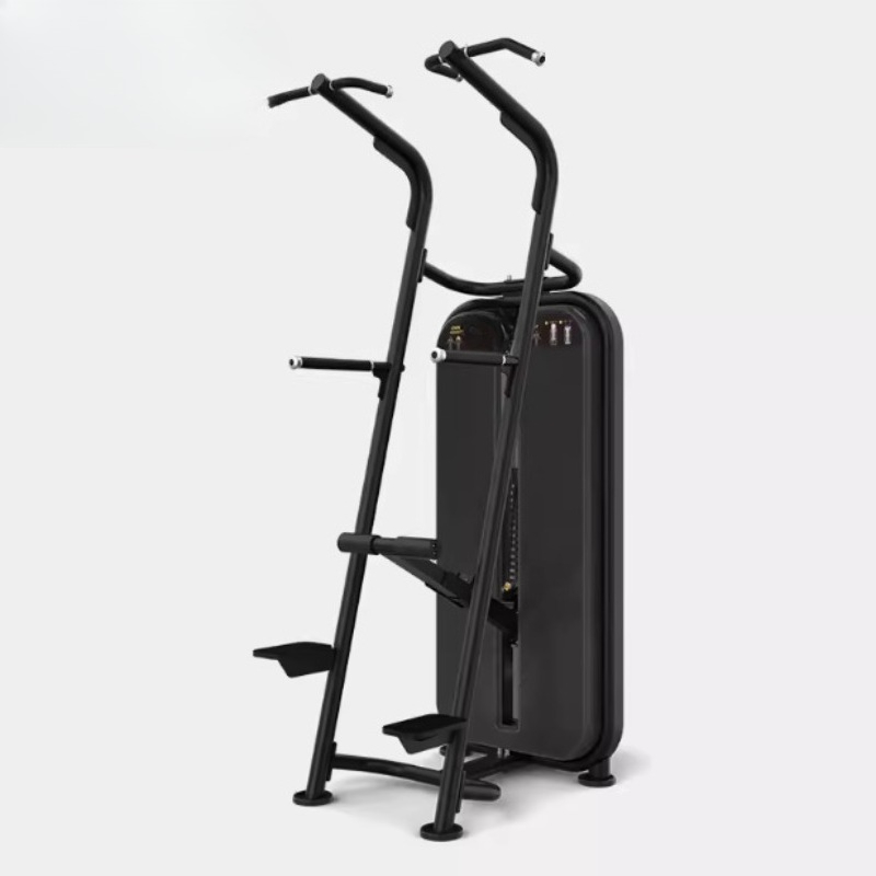 Assisted pull-up parallel bar  - Home Gym Equipment Diy 评论和价格