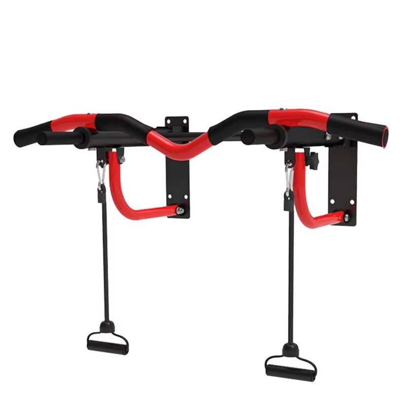 Home Gym Indoor Upper Body Wor - Home Gym Wall Mounted 评论和价格