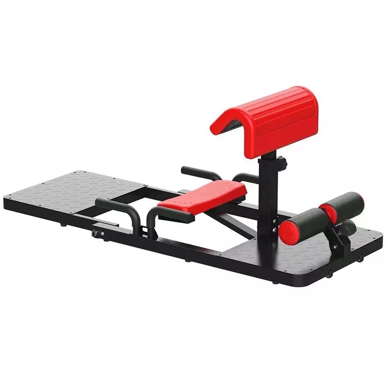 Sissy Squat Machine 3-in-1 Hom - Home Gym Quad Exercises 评论和价格
