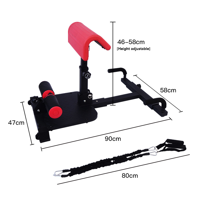 Sissy Squat Machine 3-in-1 Hom - Home Gym Quad Exercises 评论和价格