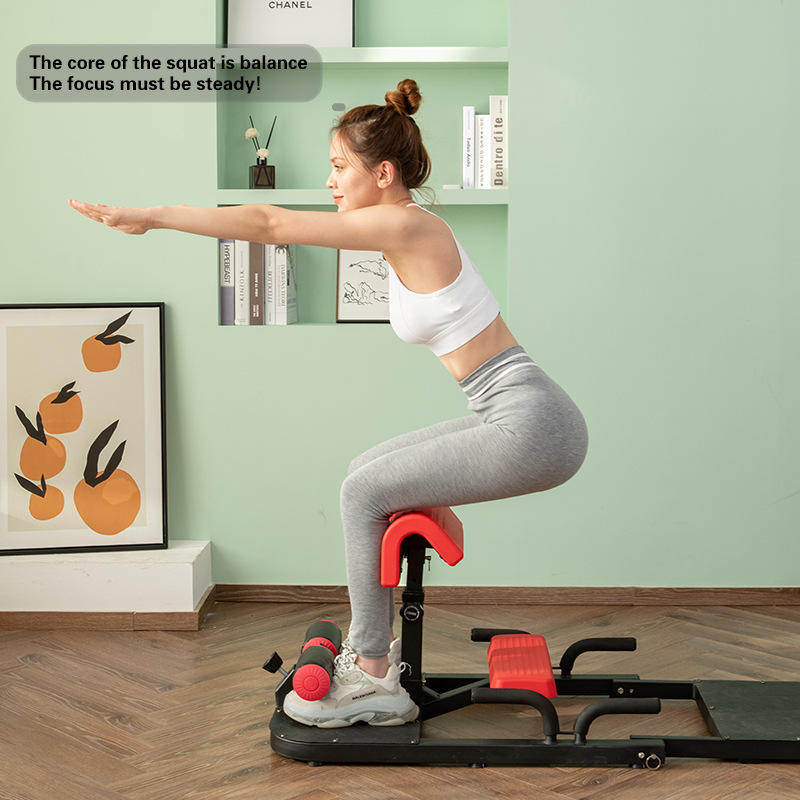 Sissy Squat Machine 3-in-1 Hom - Home Gym Quad Exercises 评论和价格