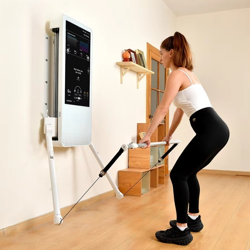 Multifunctional Home Fitness E - Home Gym On Wall 评论和价格